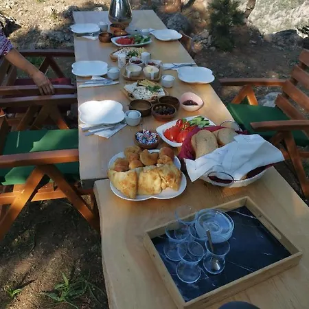 Tuerkdomes Glamping Alinca